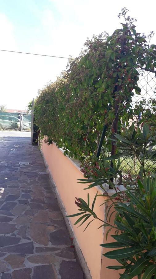 B&B Fiumicino Airport Resort Exterior photo